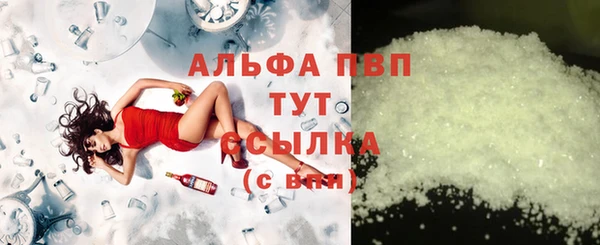 гашик Коряжма
