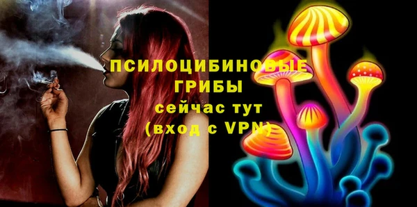 хмурый Киренск