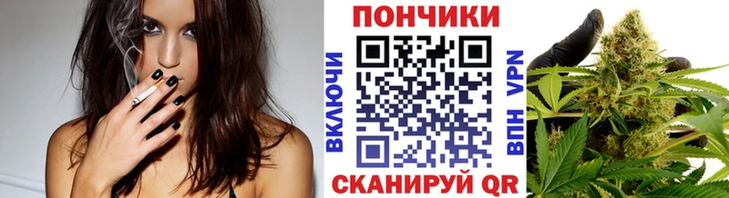 Бошки марихуана THC 21%  кракен зеркало  Котовск  купить закладку 